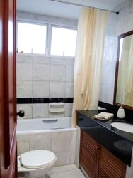 The Tropica (D18), Condominium #582773051